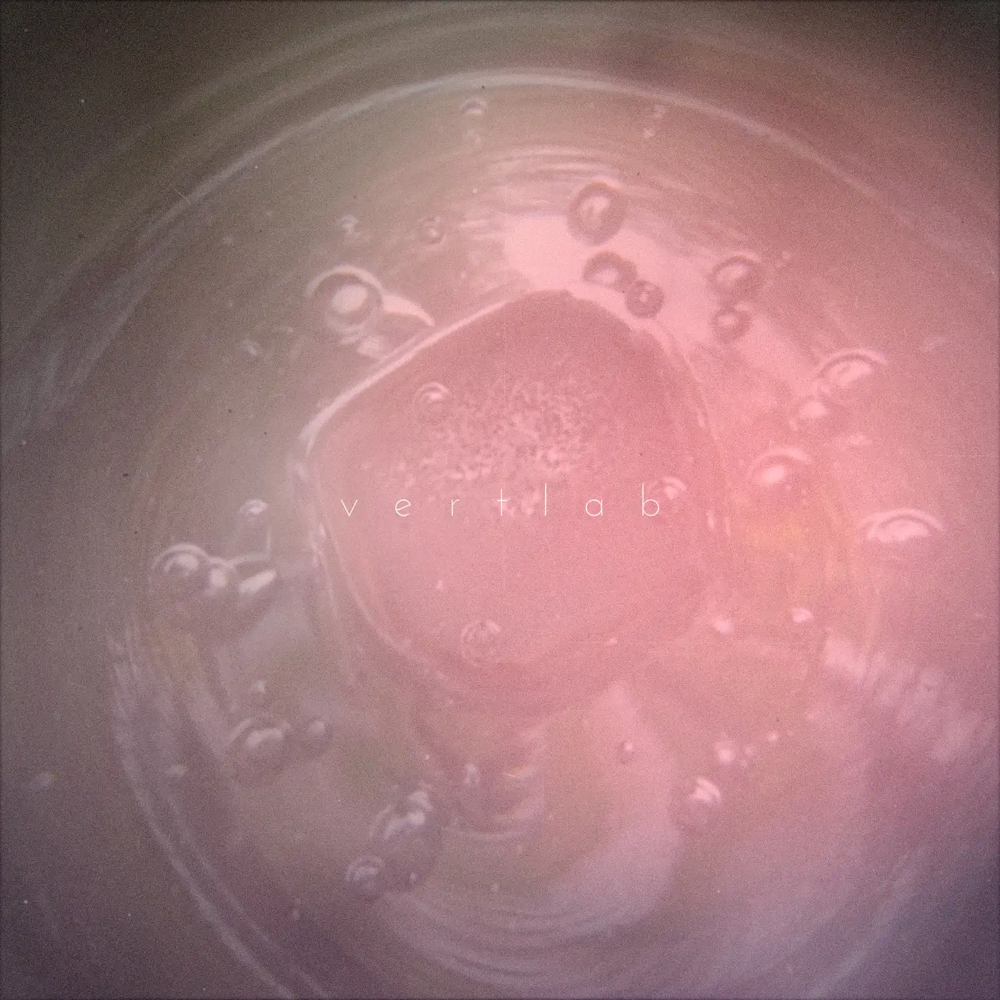 vertlab